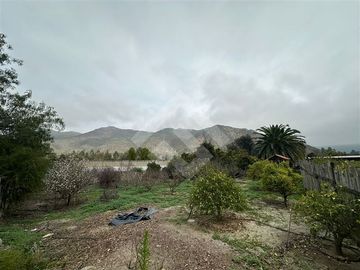 place photo 48