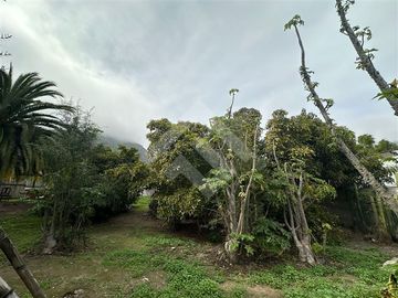 place photo 44