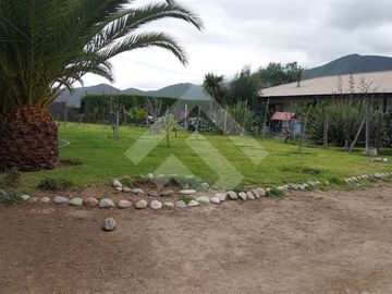 place photo 30