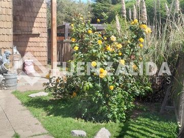 place photo 44