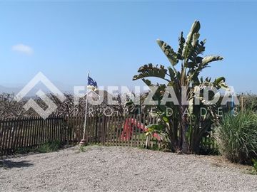 place photo 38