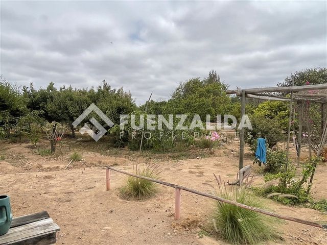 place photo 63