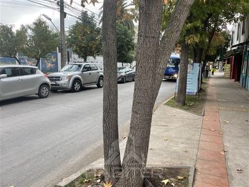 place photo 40