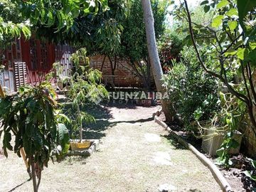 place photo 36