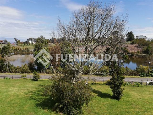 place photo 46
