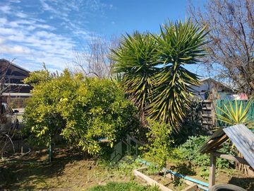 place photo 18