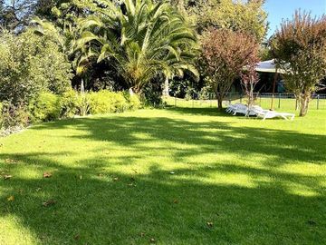 place photo 41