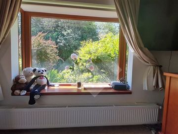 place photo 34