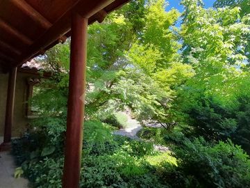 place photo 39