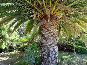 place photo 53