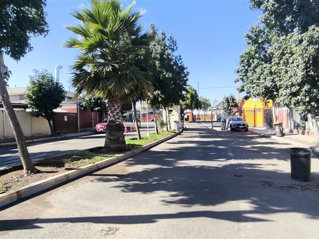 place photo 28
