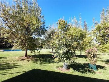 place photo 38