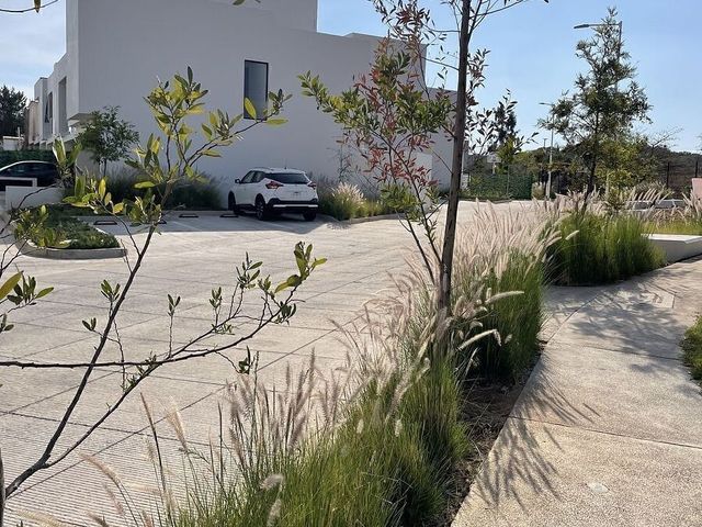 place photo 39