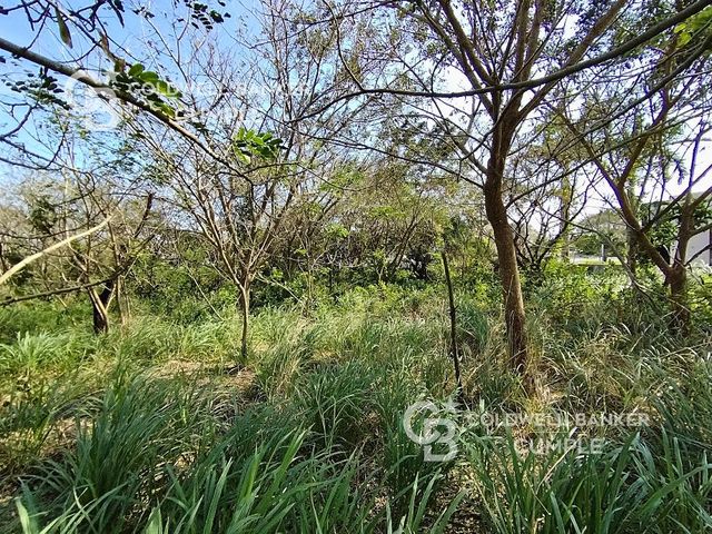 place photo 24