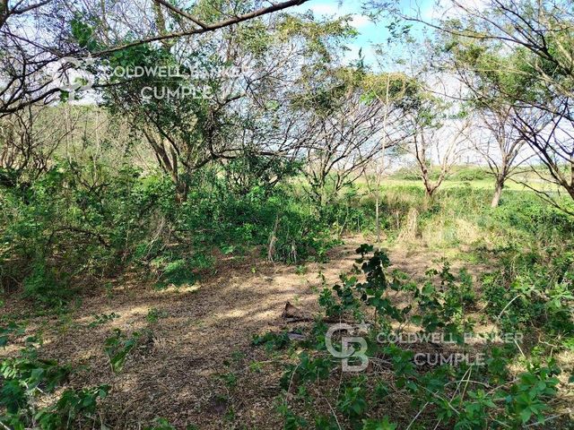 place photo 31