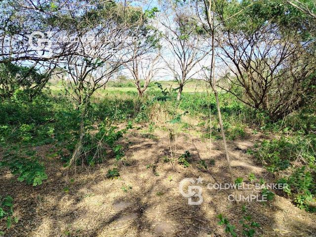 place photo 30