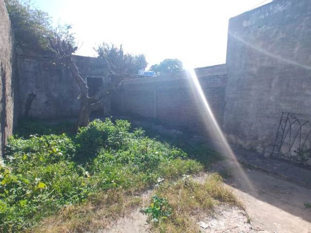 place photo 14
