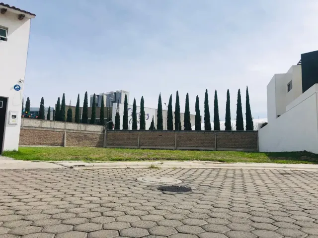 place photo 5