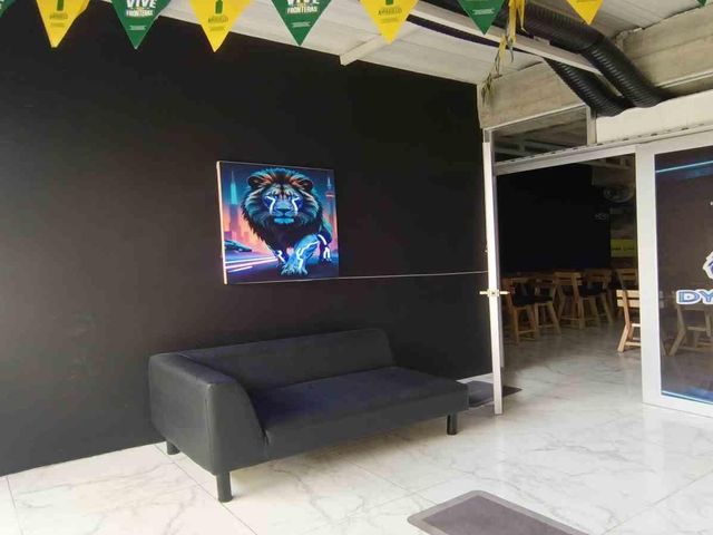 place photo 11