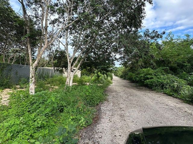 place photo 11