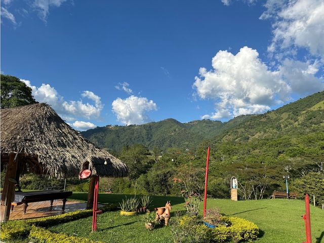 place photo 43