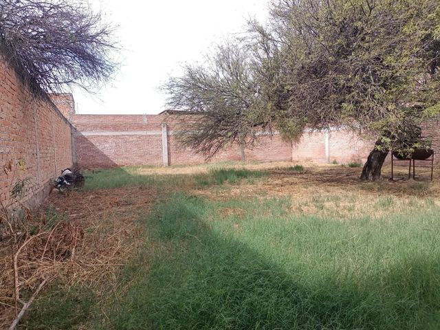 place photo 16