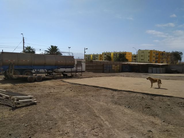 place photo 7