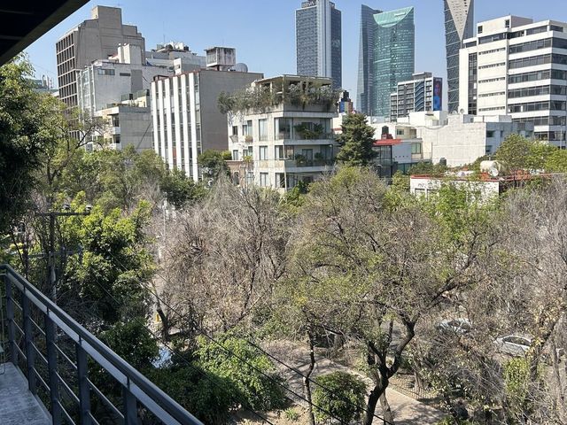 place photo 29