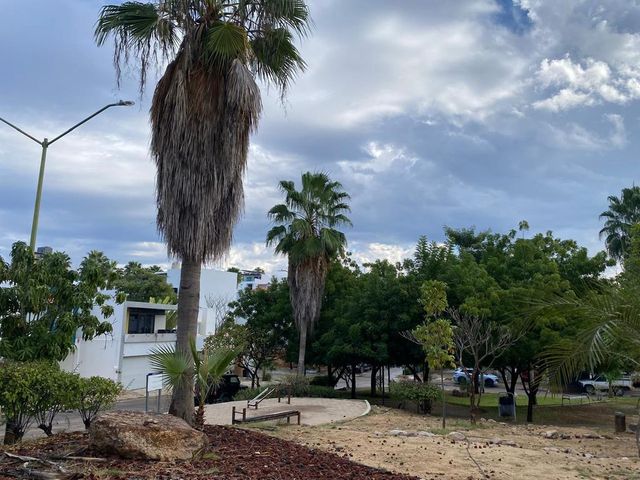 place photo 15