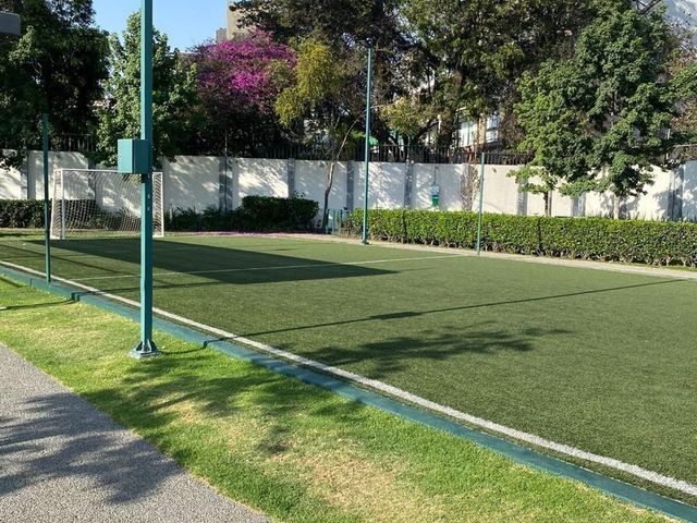 place photo 34