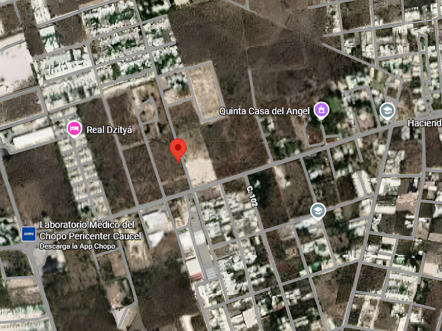 place photo 4