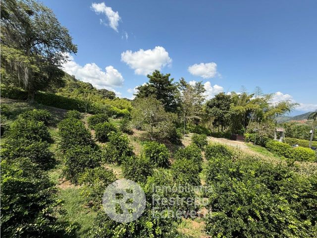 place photo 48