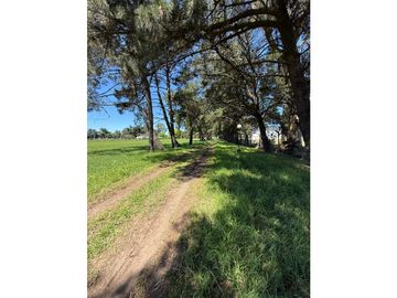 place photo 23