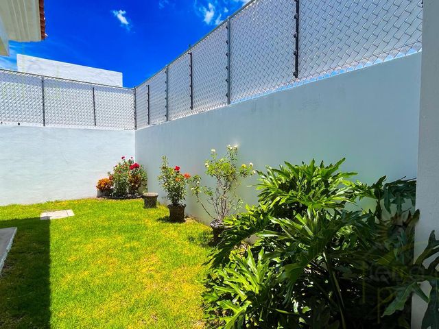 place photo 36