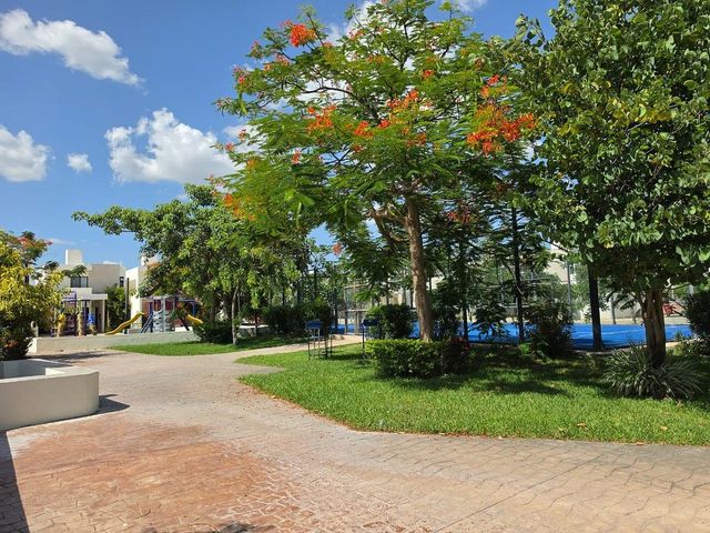 place photo 29