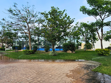 place photo 14