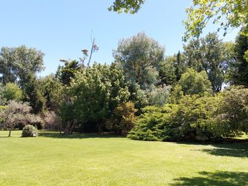 place photo 17