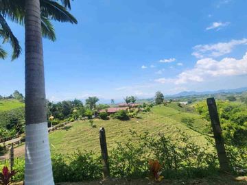 place photo 33