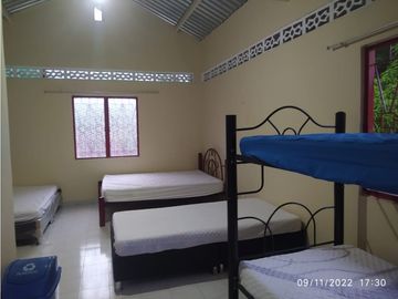 place photo 74