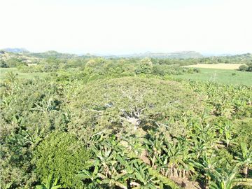 place photo 53