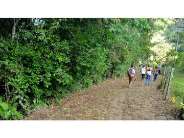 place photo 81