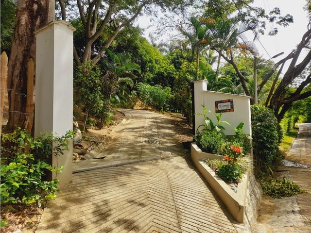 place photo 31
