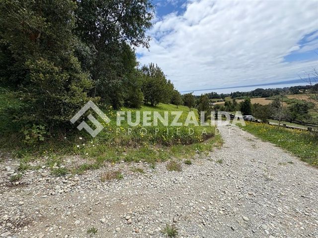 place photo 40