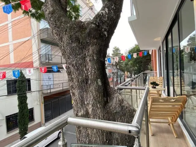 place photo 18