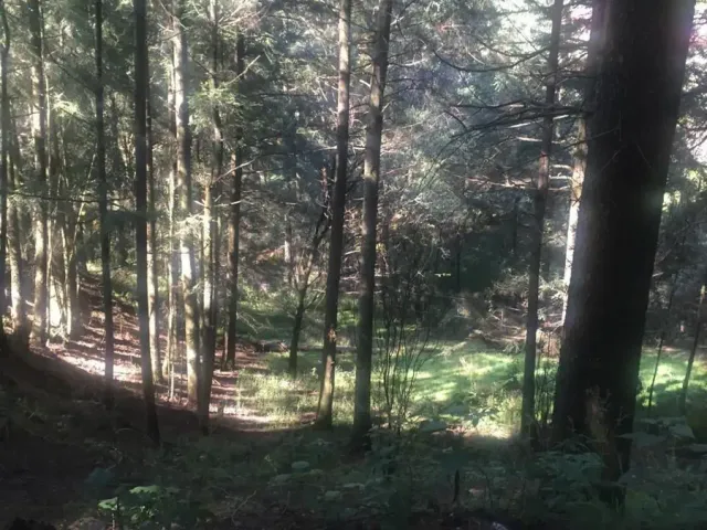 place photo 17
