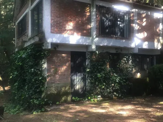 place photo 11