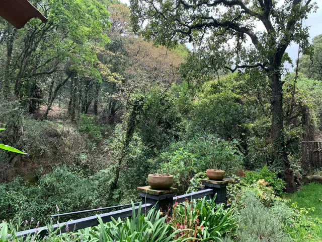 place photo 42