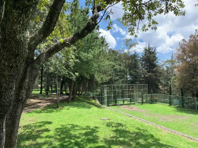 place photo 44