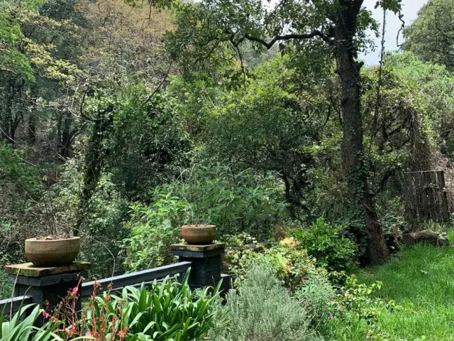 place photo 39