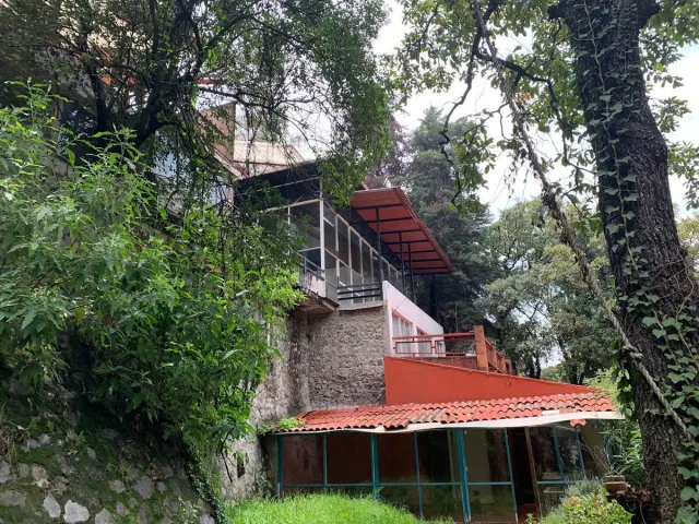 place photo 38